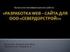 Разработка web-сайта для ООО «Севердойстрой»