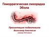 Геморрагическая лихорадка Эбола