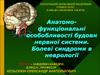 Анатомофункціональні особобливості будови нервної системи. Болеві синдроми в неврології