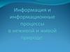 Информация и информационные процессы в неживой и живой природе