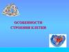 Особенности строения клетки