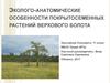 Эколого-анатомические особенности покрытосеменных растений верхового болота
