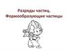 Разряды частиц. Формообразующие частицы