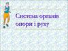 Система органів опори і руху
