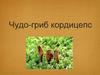 Чудо-гриб кордицепс