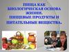 Пища как биологическая основа жизни. Пищевые продукты и питательные вещества