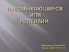 Пресмыкающиеся или рептилии