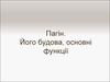 Пагін. Його будова, основні функції