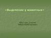Выделение у животных