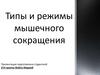 Типы и режимы мышечного сокращения