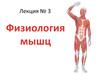 Физиология мышц. Лекция 3