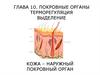 Покровные органы. Терморегуляция. Выделение