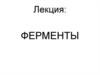 Ферменты, их сходство и отличие от неорганических катализаторов. Коферменты