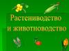 Сельское хозяйство. Растениеводство. Животноводство