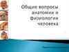 Общие вопросы анатомии и физиологии человека