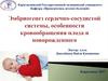 Эмбриогенез сердечно-сосудистой системы, особенности кровообращения плода и новорожденного