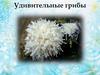 Удивительные грибы. Плесень, мукор, пеницилл, дрожжи, трутовик, головня, фитофтора. Микозы