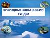 Природные зоны России: тундра