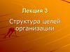 Структура целей организации