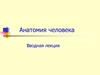 Анатомия человека