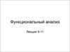 Функциональный анализ ОВ