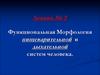 Функциональная морфология пищеварительной и дыхательной систем человека. (Лекция 2)