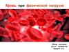 Кровь при физической нагрузке