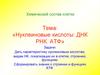 Химический состав клетки. Нуклеиновые кислоты. ДНК. РНК, АТФ