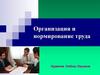 Организация и нормирование труда