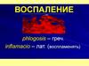 Воспаление. Классификация воспаления