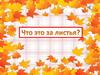 Что это за листья