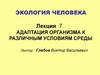 Адаптация организма к различным условиям среды. (Лекция 7)