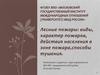 Лесные пожары. Виды, характер пожаров, действия населения в зоне пожара, способы тушения