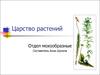 Царство растений. Отдел мохообразные