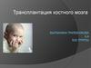 Трансплантация костного мозга