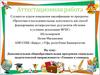 Аттестационная работа. Дополнительная общеобразовательная программа социальнопедагогической направленности «Умники и умницы»