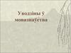 Уводзіны ў мовазнаўства. Поліфункцыянальнасць і дыферэнцыяцыя мовы