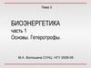 Биоэнергетика. Основы. Гетеротрофы