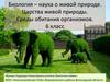 Биология – наука о живой природе. Царства живой природы. Среды обитания организмов