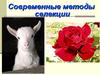 Современные методы селекции