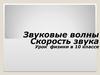 Звуковые волны. Скорость звука. (10 класс)