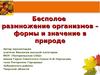 Бесполое размножение организмов – формы и значение в природе