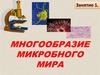 Многообразие микробного мира