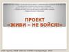 Проект «Живи - не бойся». Безопасность дорожного движения. Опасности толпы. Как защитить свое будущее