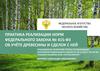 Практика реализации норм федерального закона № 415-ФЗ об учёте древесины и сделок с ней