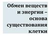 Обмен веществ и энергии, основа существования клетки