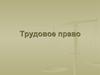 Трудовое право. Конвенция о правах ребенка. Конституция РФ. Трудовой кодекс РФ. Отдельные законы о труде