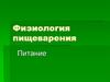 Физиология пищеварения. Питание