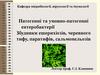 Патогенні та умовно-патогенні ентеробактерії. Збудники ешерихіозів, черевного тифу, паратифів, сальмонельозів
