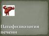 Этиология заболеваний печени